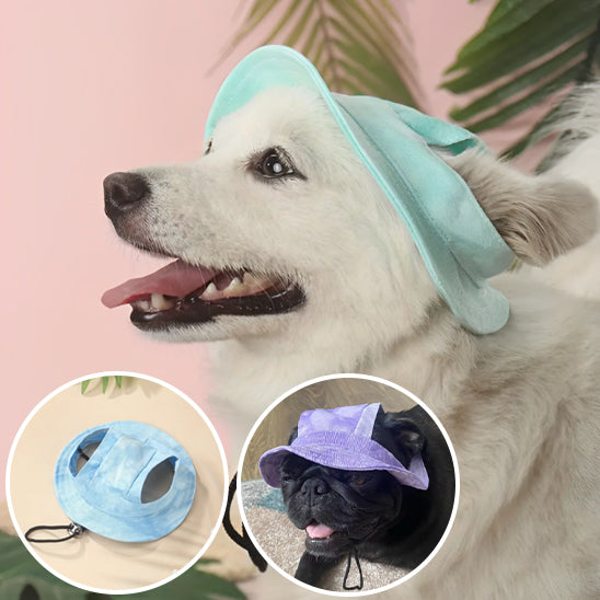 Casquette-pour-chien-bleu