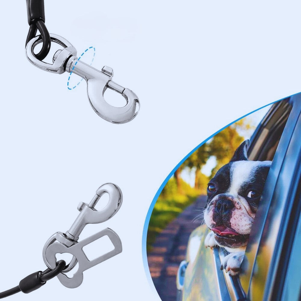 Ceinture-de-Securite-pour-Chien-360