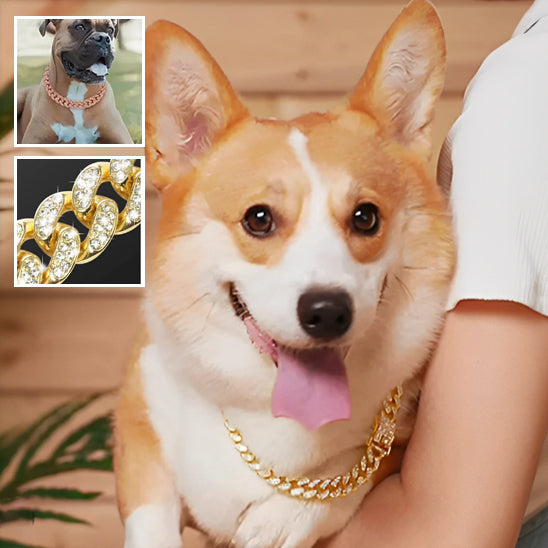 Collier-Pour-Chien-Alliages