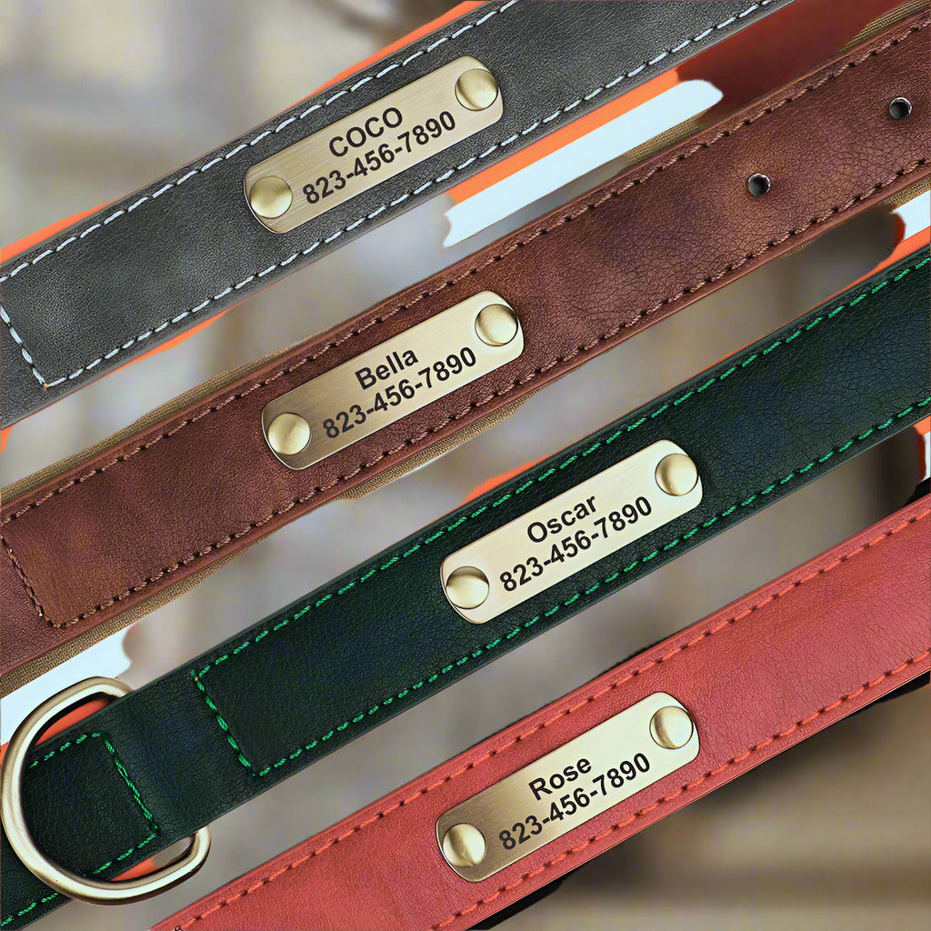 Collier-Pour-Chien-Personnalise-elegances