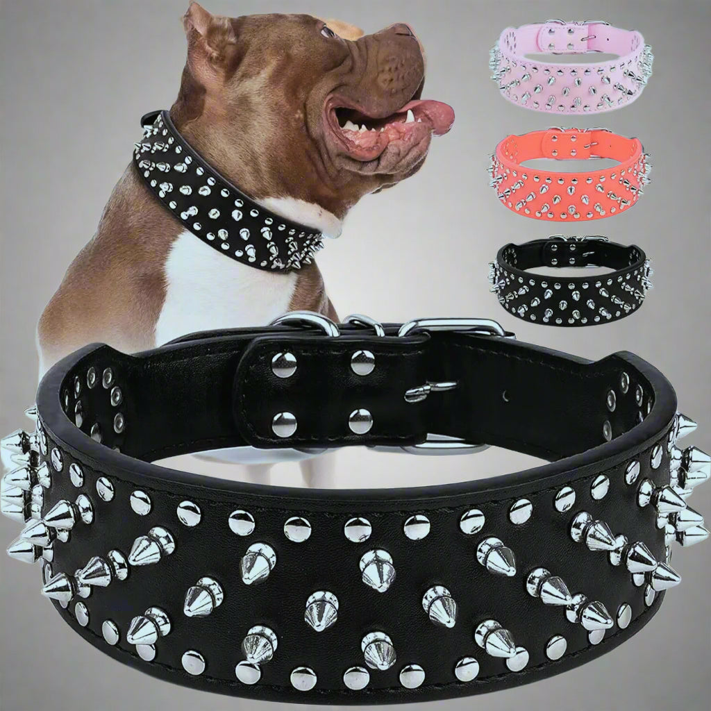 Collier-Pour-Chien-en-Cuir-couleur