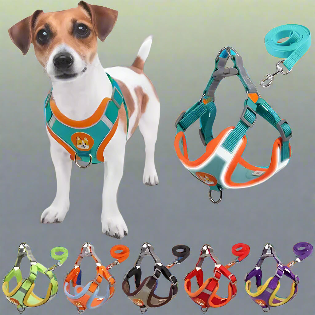 Harnais-Anti-Traction-Chien-Charte-couleurs