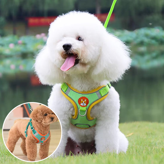 Harnais-Anti-Traction-Chien-Parc