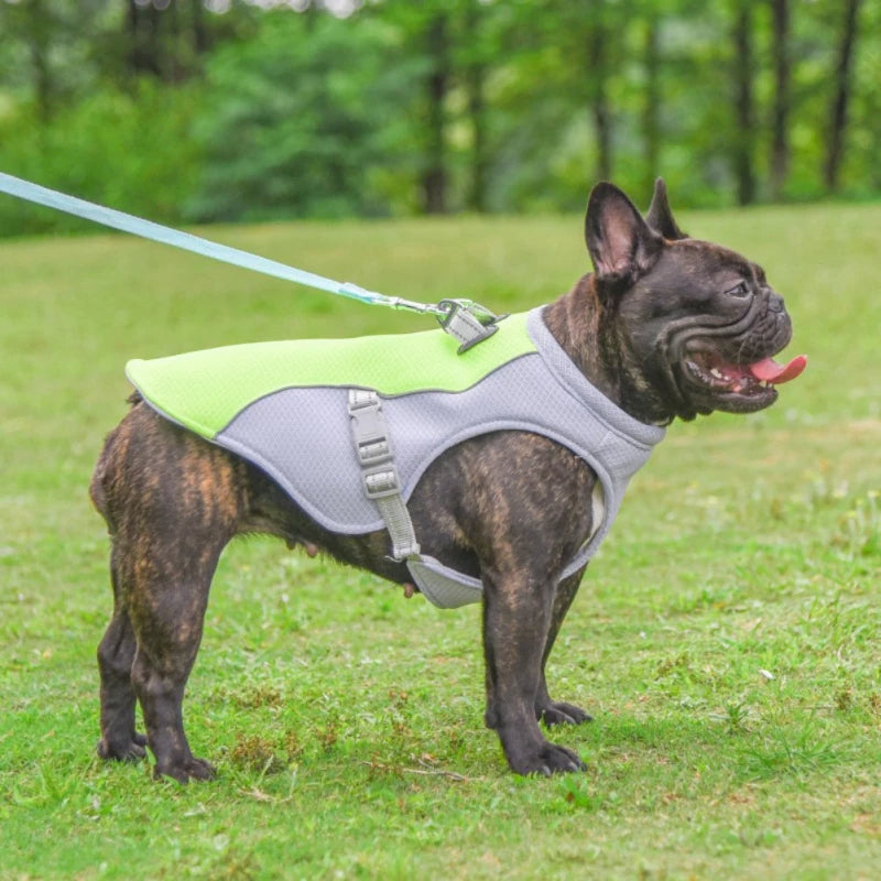 Harnais-chien-gilet-vert