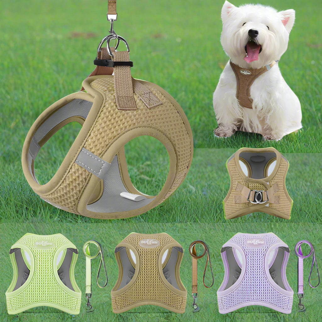Harnais-pour-chien-couleur