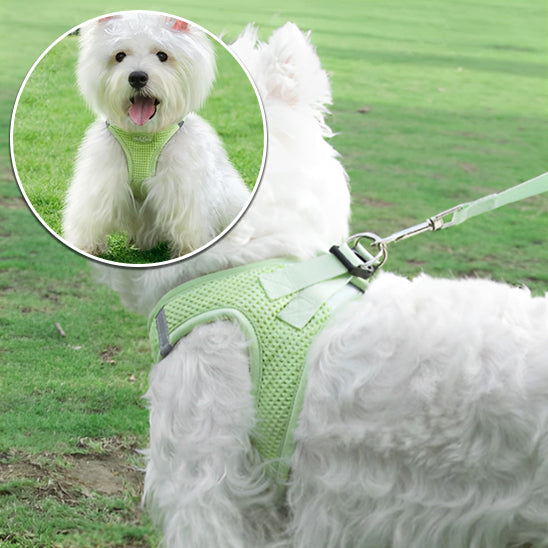 Harnais-pour-chien-puppy-bande-reflechissante