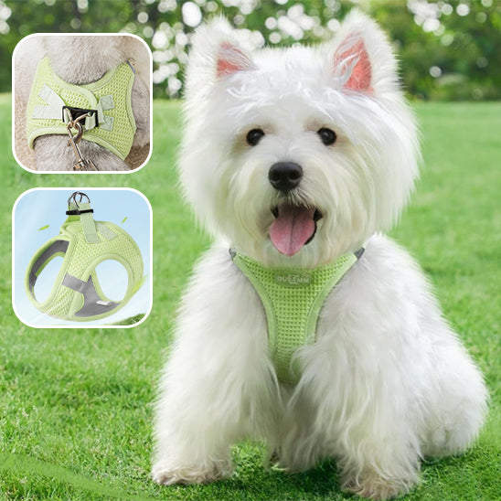 Harnais-pour-chien-velcros