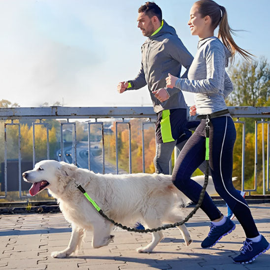 Laisse-Pour-Chien-Jogging