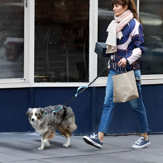 Laisse-Pour-Chien-bleu-pale