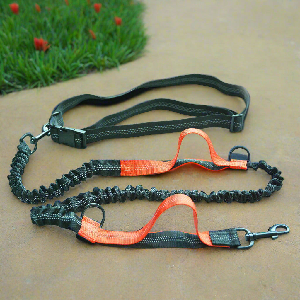 Laisse-Pour-Chien-rouge-orange