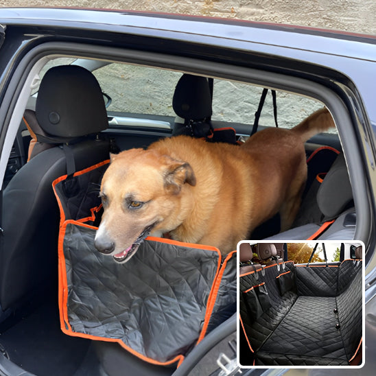 Protection-Voiture-Pour-Chien-voyages