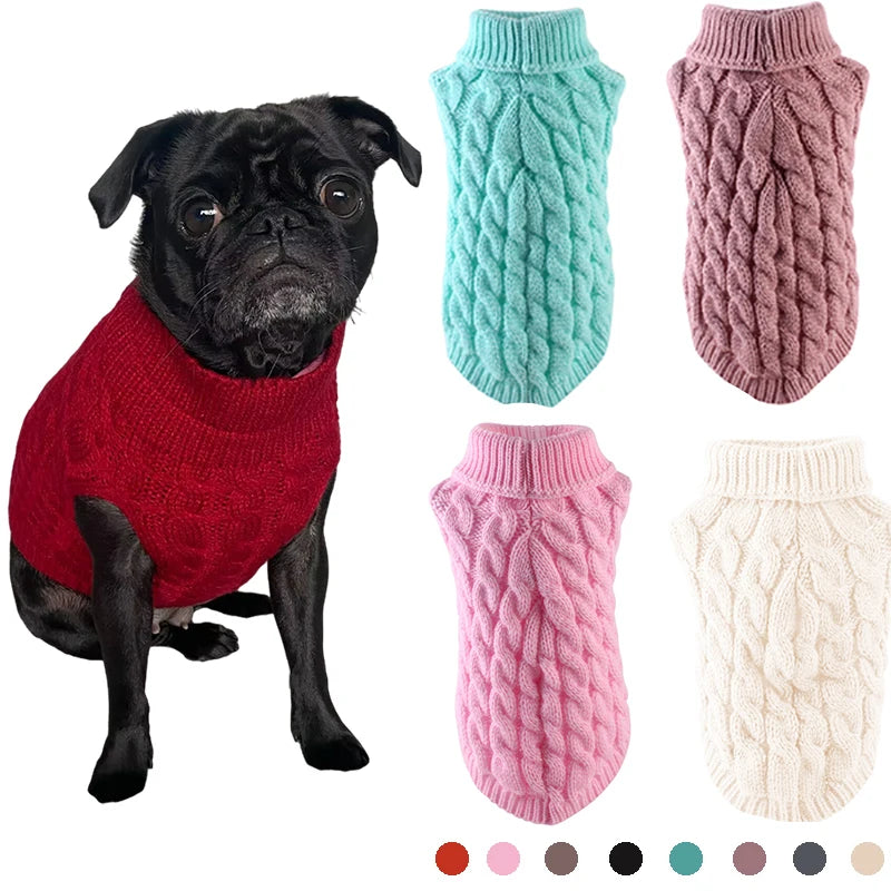 Pull-Chien-couleurs