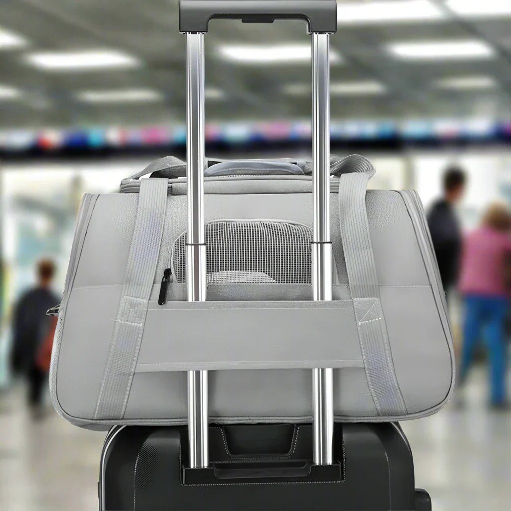 Sac-Transport-Chien-Gris-Voyages