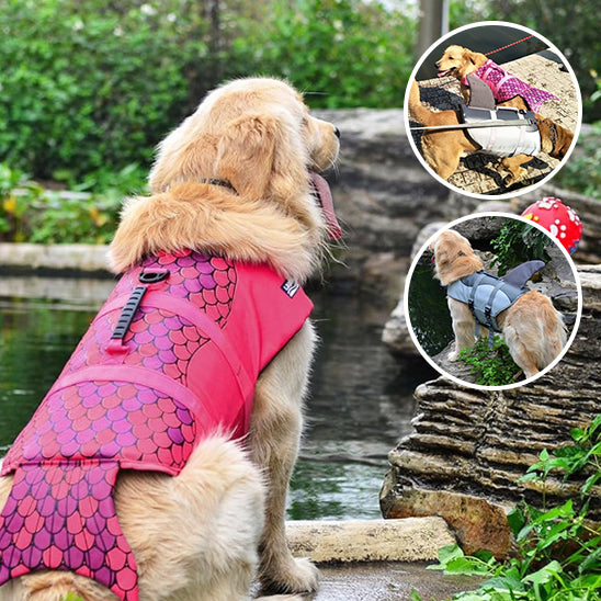 gilet-de-sauvetage-pour-chien-design