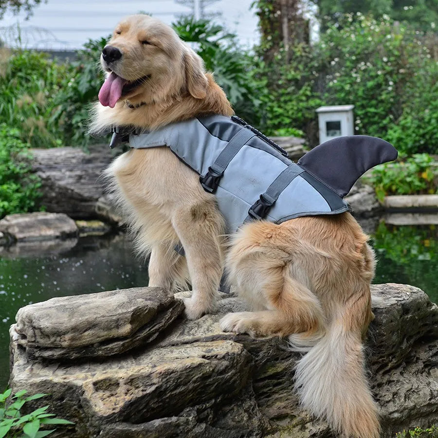 gilet-de-sauvetage-pour-chien-requin-gris-bleu