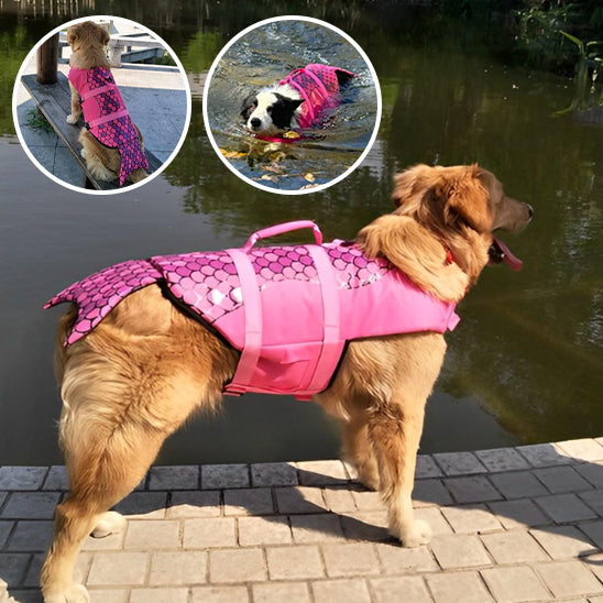 gilet-de-sauvetage-pour-chien-sirène-couleur