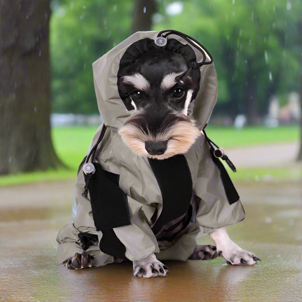 imperméable-chien-col-hauts