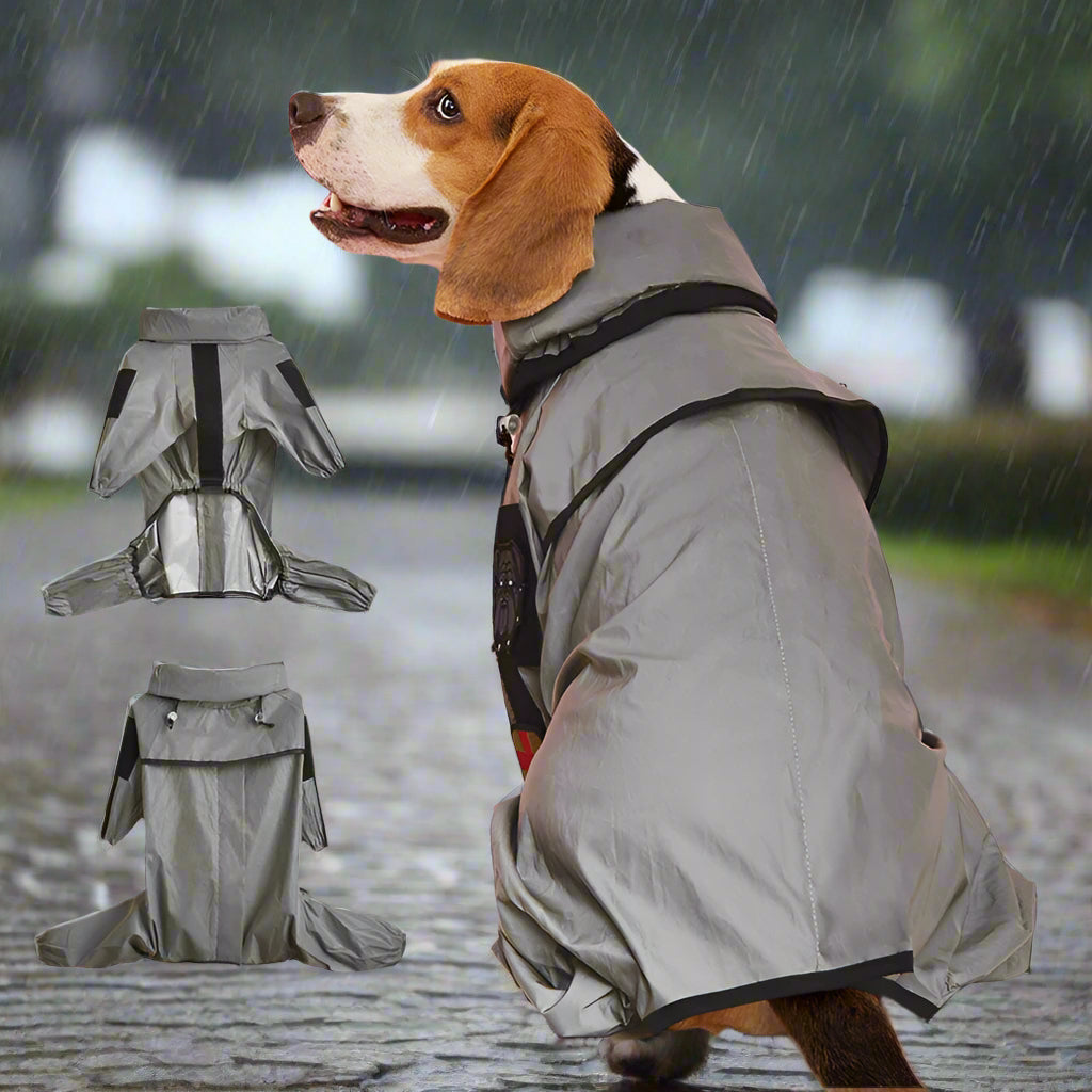 imperméable-chien-impermeabilites