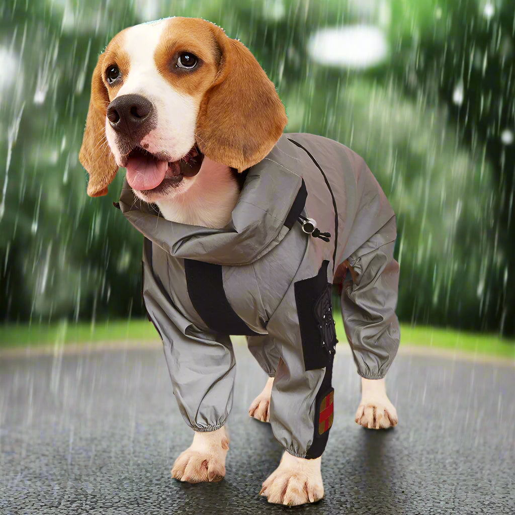 imperméable-chien-personnalisation-accessoires