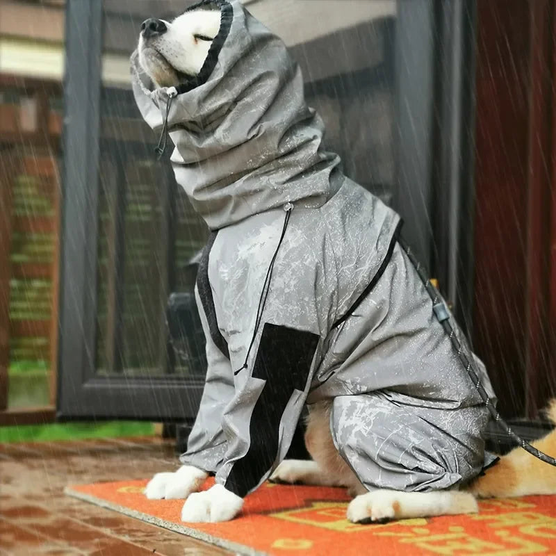 imperméable-chien-pluie-col