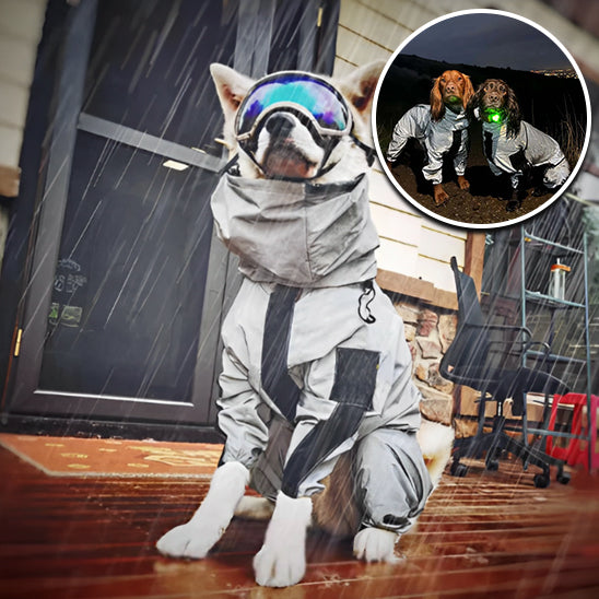 imperméable-chien-visibilite