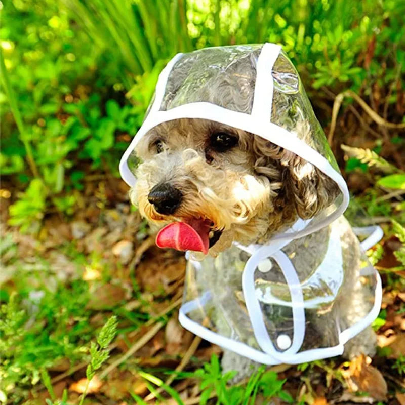 Imperméable-pour-chien-taille-et-style