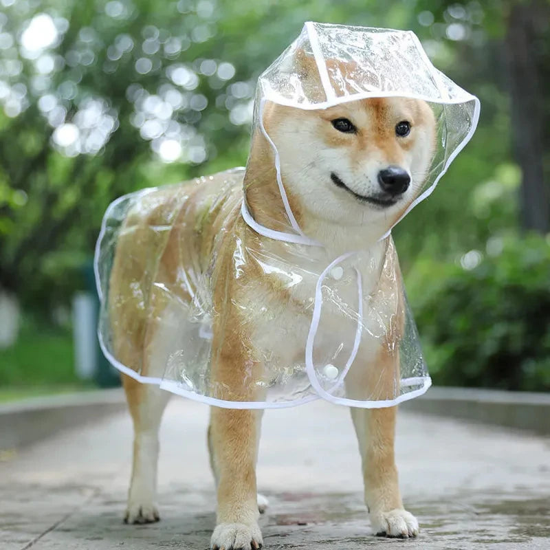 imperméable-pour-chien-transparant-blanc