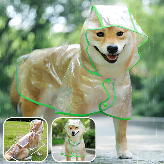 Imperméable-pour-chien-transparant-vert