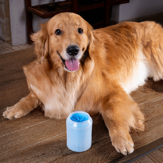 nettoyeur-patte-chien-plancher-propre