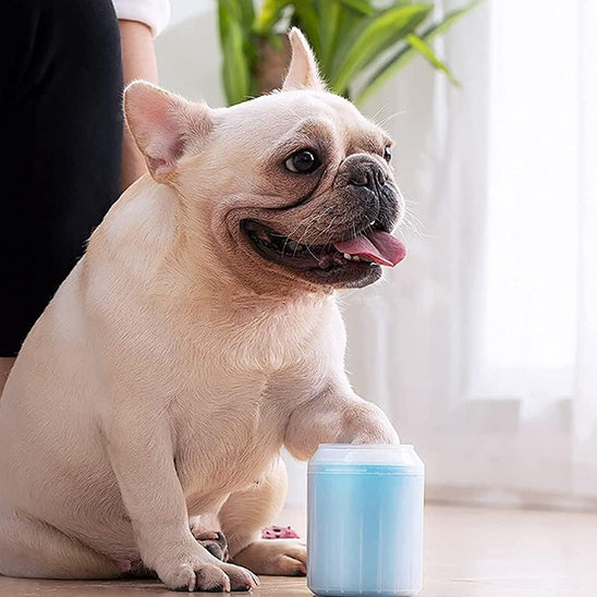 nettoyeur-patte-chien-pot-bleu
