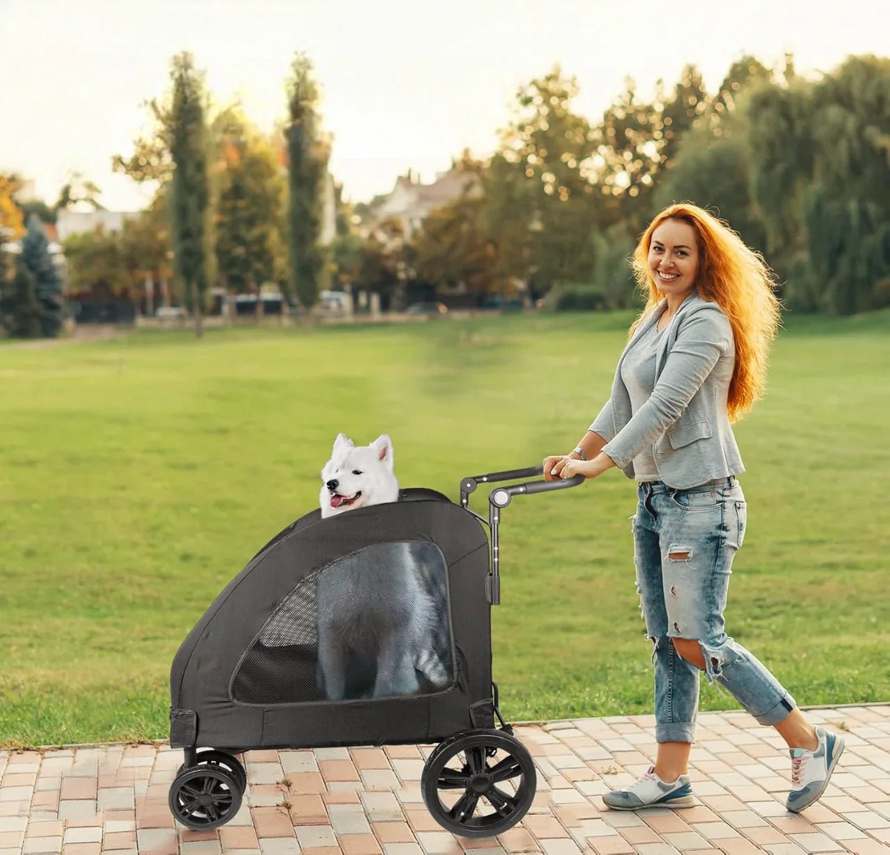 Poussette pliable - StrollyPet™ - Noir - Michelle Belzile