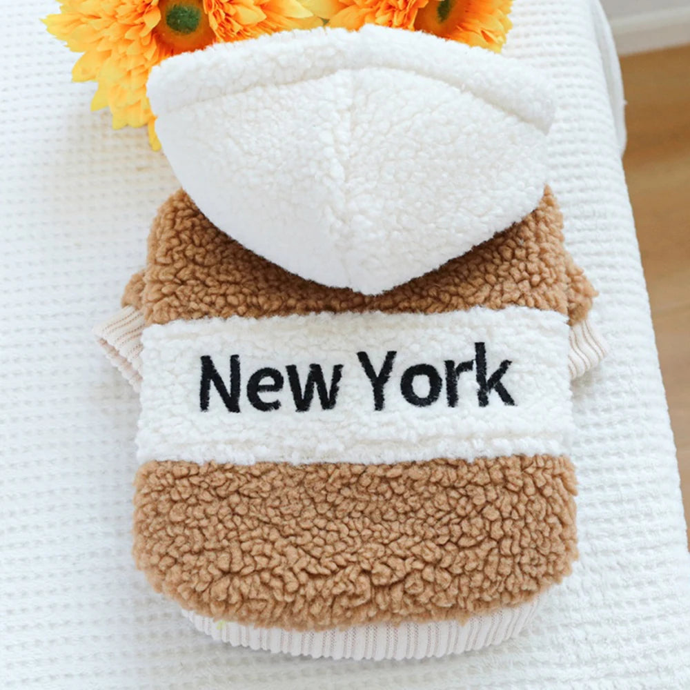 pull-pour-chien-berber-cafe-ny