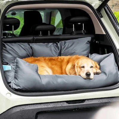 siege-auto-pour-chien-griffes