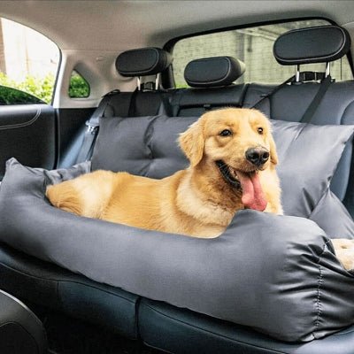 siege-auto-pour-chien-stress