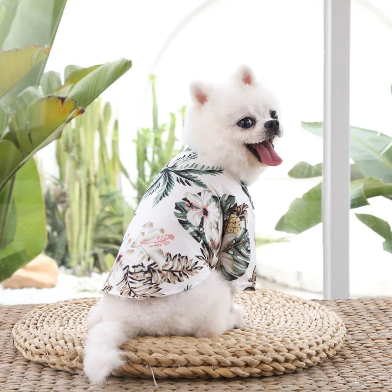 vetement-pour-chien-blanc