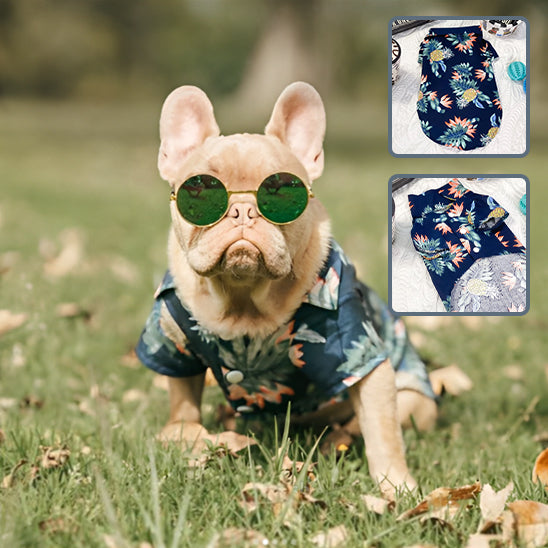 vetement-pour-chien-modes-canines