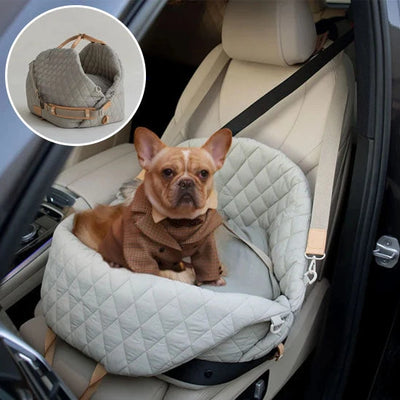 Chien Voiture Protection