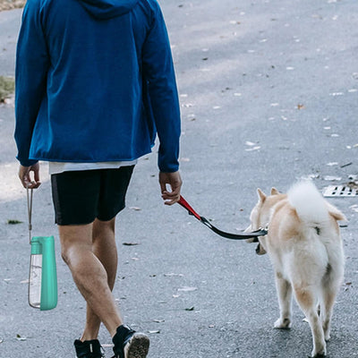 ACCESSOIRES POUR CHIENS