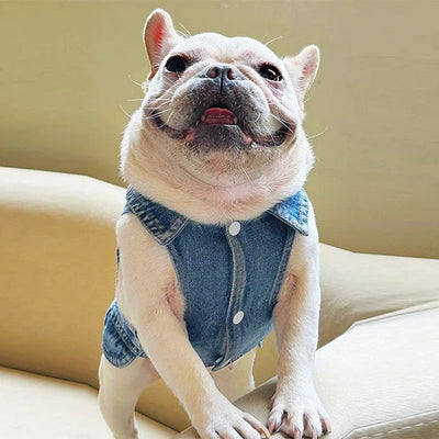VETEMENT POUR CHIEN