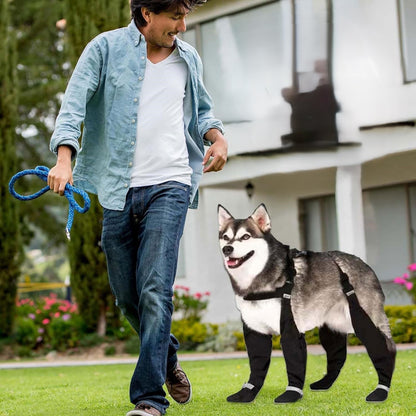 Bottes-pour-chien-balade