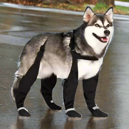 Bottes-pour-chien-bretelles-noires