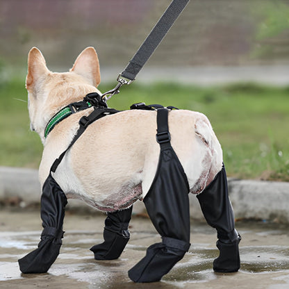 Bottes-pour-chien-bretelles-pluie