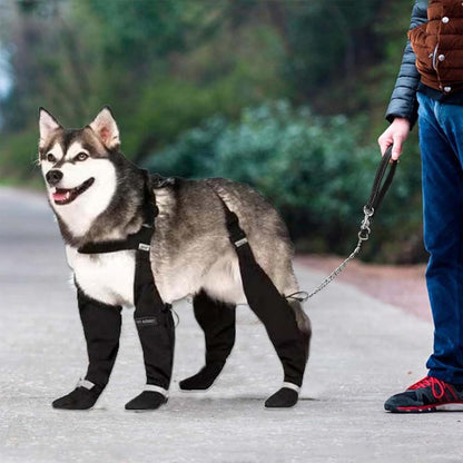 Bottes-pour-chien-bretelles-reflechissants