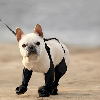 Bottes-pour-chien-protection