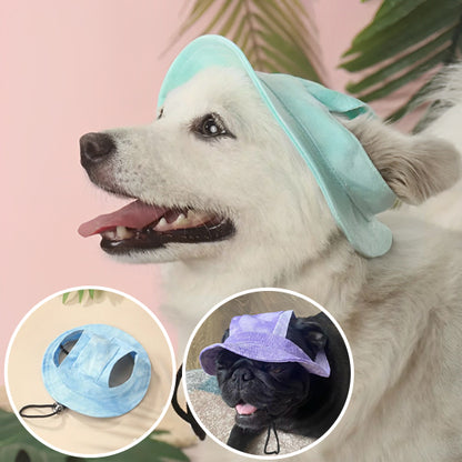 Casquette-pour-chien-bleu