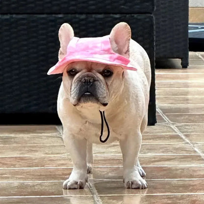 Casquette-pour-chien-nikki-rose