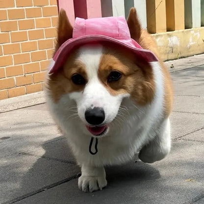 Casquette-pour-chien-nikki-sortie