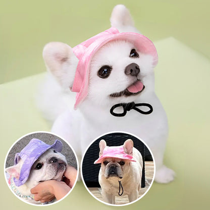 Casquette-pour-chien-nikki-violet