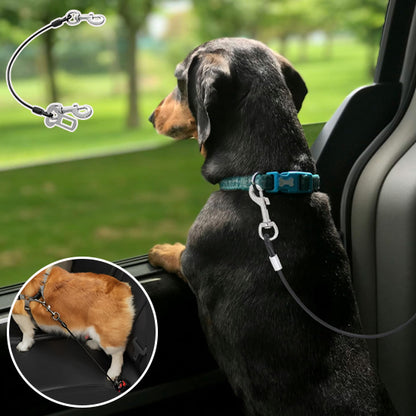 Ceinture-de-Securite-pour-Chien-accidents
