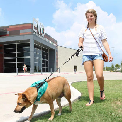 Ceinture-de-Securite-pour-Chien-multifonctionnel